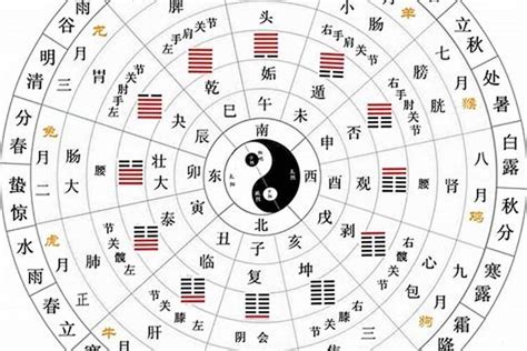 星座五行|十二星座与五行的关系